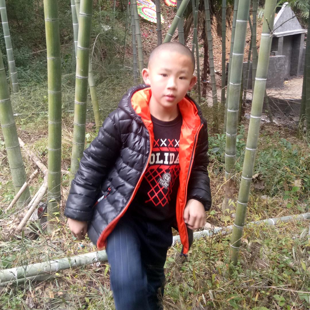 小朱朱