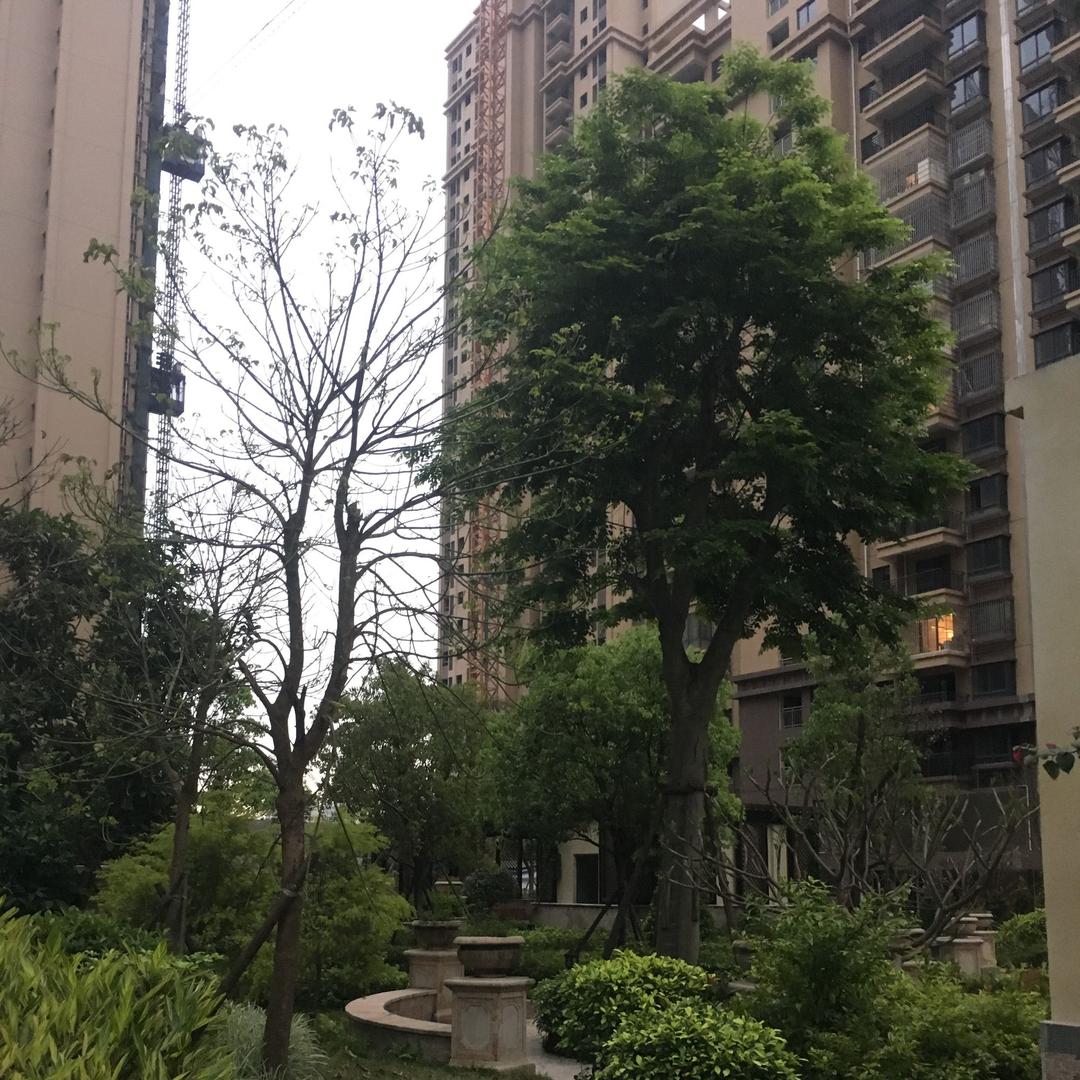 简单生活