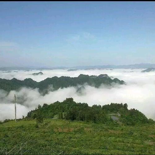 喜欢这段话
