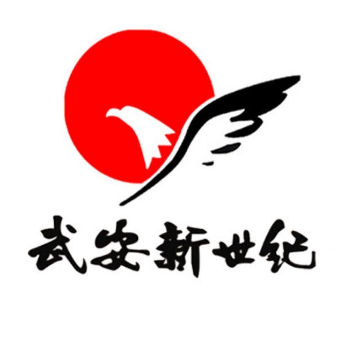 武安新世纪