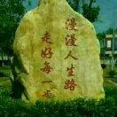 北漂的人