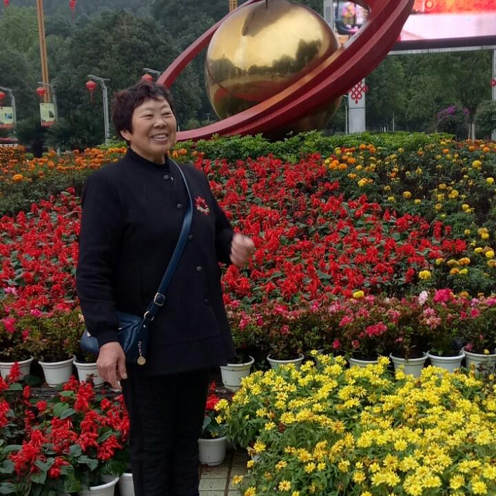 金大姐