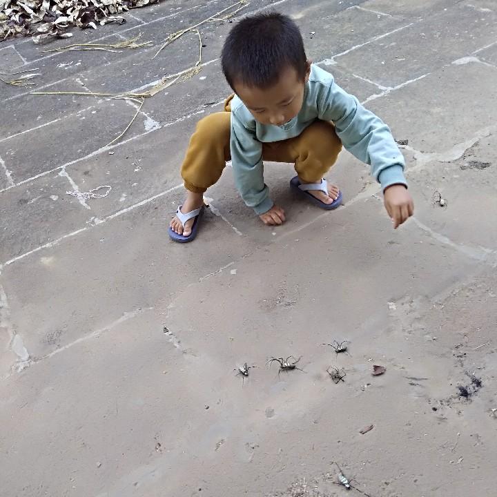 原点