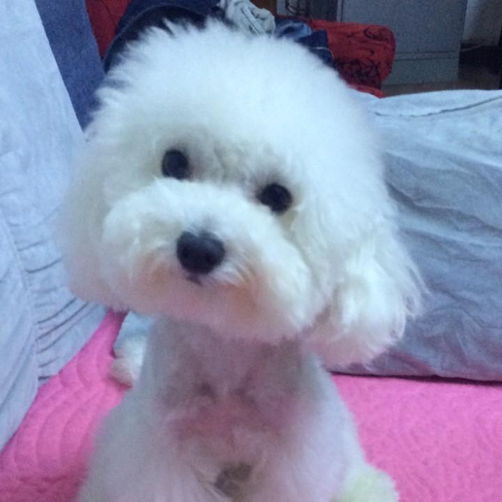 岸上love鱼