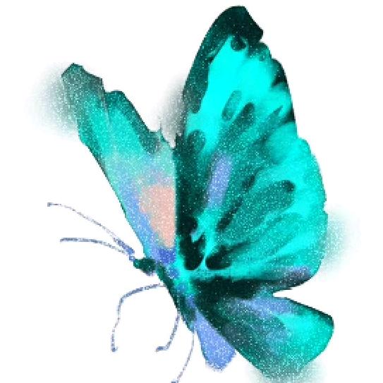 ༺༽真善美🍃༼༻