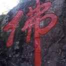玩具厂直销，收购库存