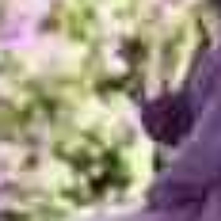 江苏竣工工程有限公司