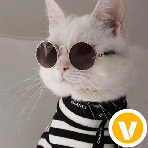 三年青春三年梦