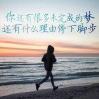 咸味提拉米苏