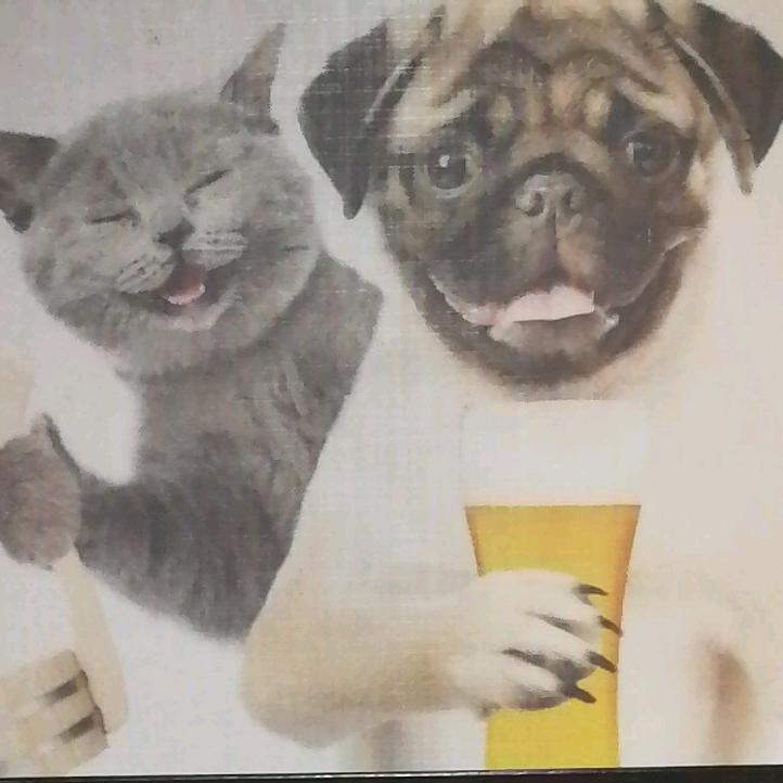 龙翔天下