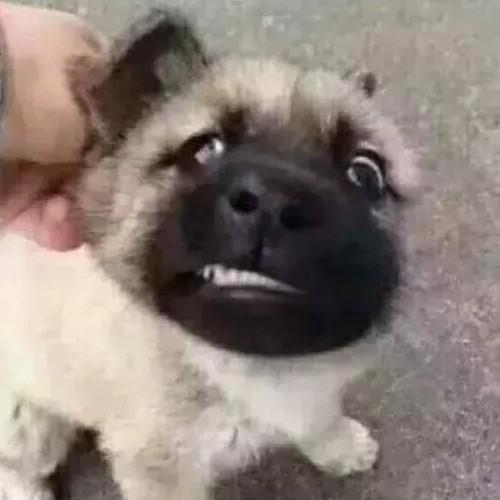 齐云社