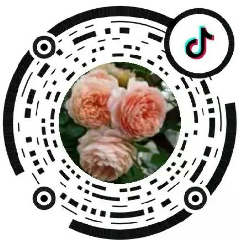 九多肉多原阳中兴街店