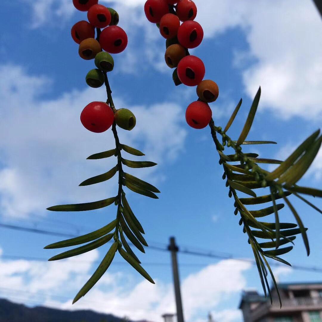 趣童优选