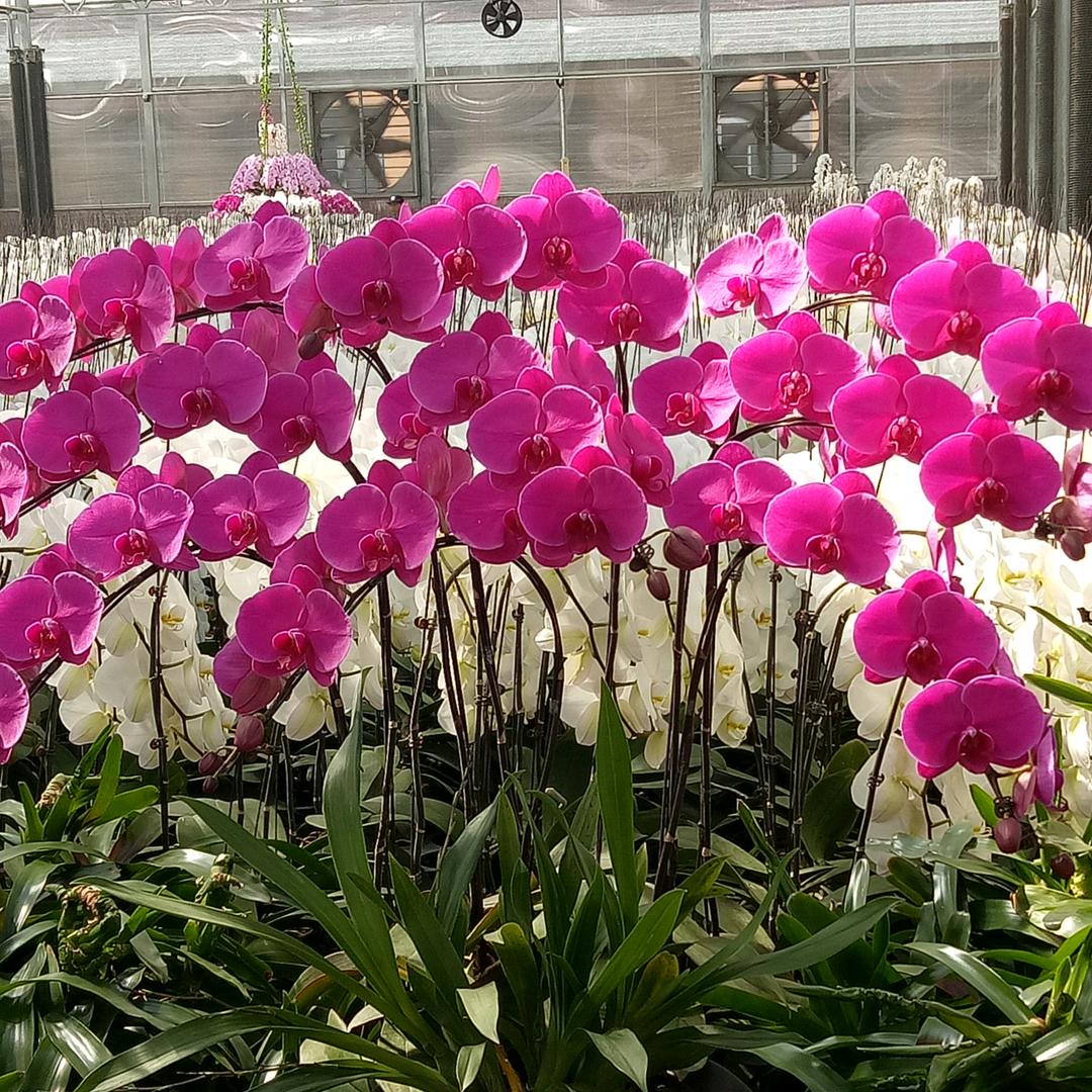 上善若水厚德载物