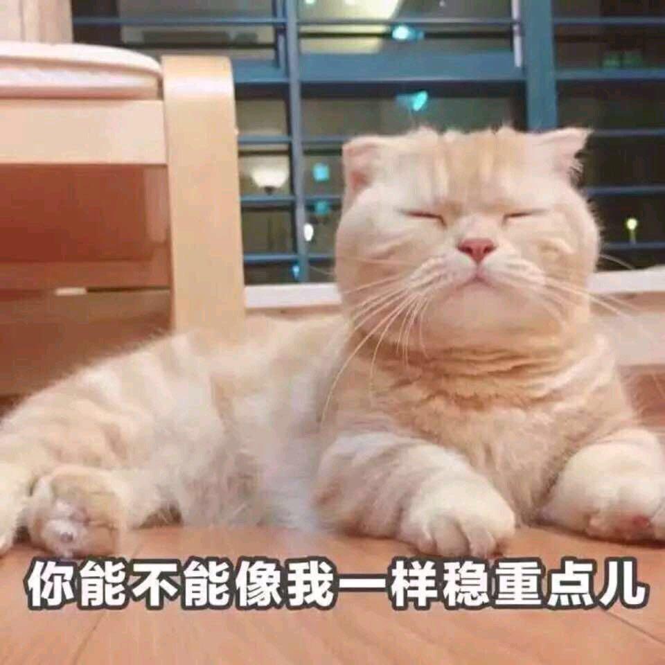 哈利路亚洲非洲南美洲