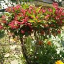 70后的农村姐姐💋💋