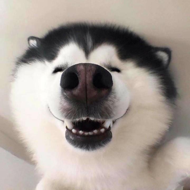 云游诗人