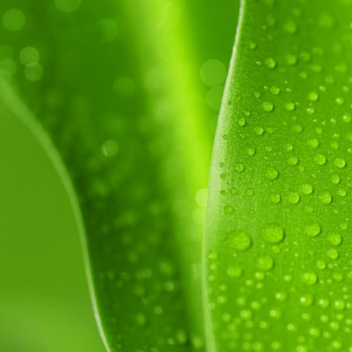 执着