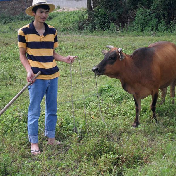 农二代的幸福生活