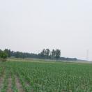 种地的人爱唱歌🎤🎶