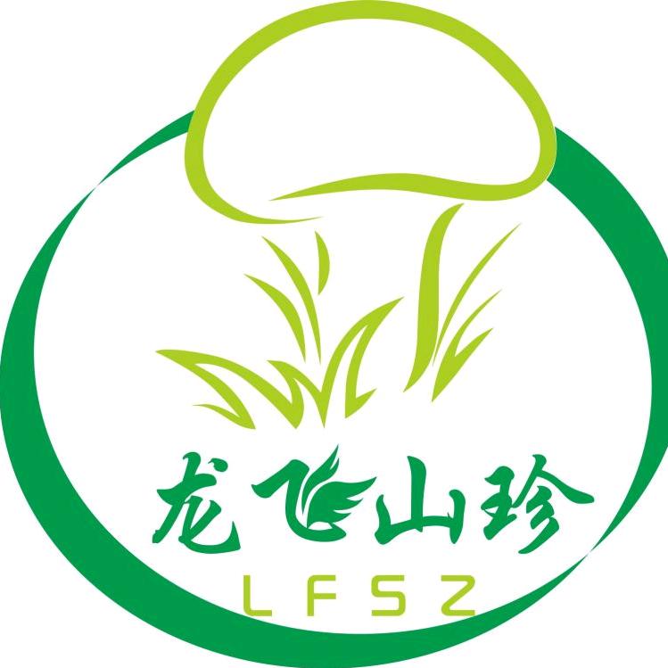 龙飞山珍