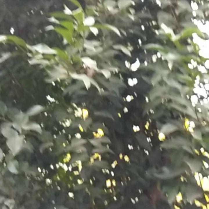 引人注目