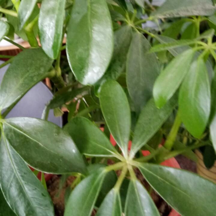 🥀⃟人生靠᭄自己꧀ᩚ࿐