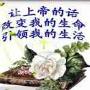 曹敏