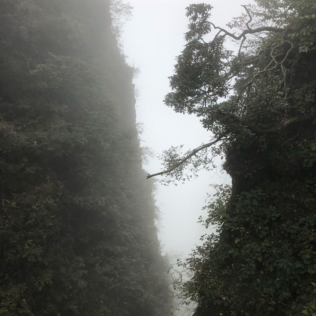 建