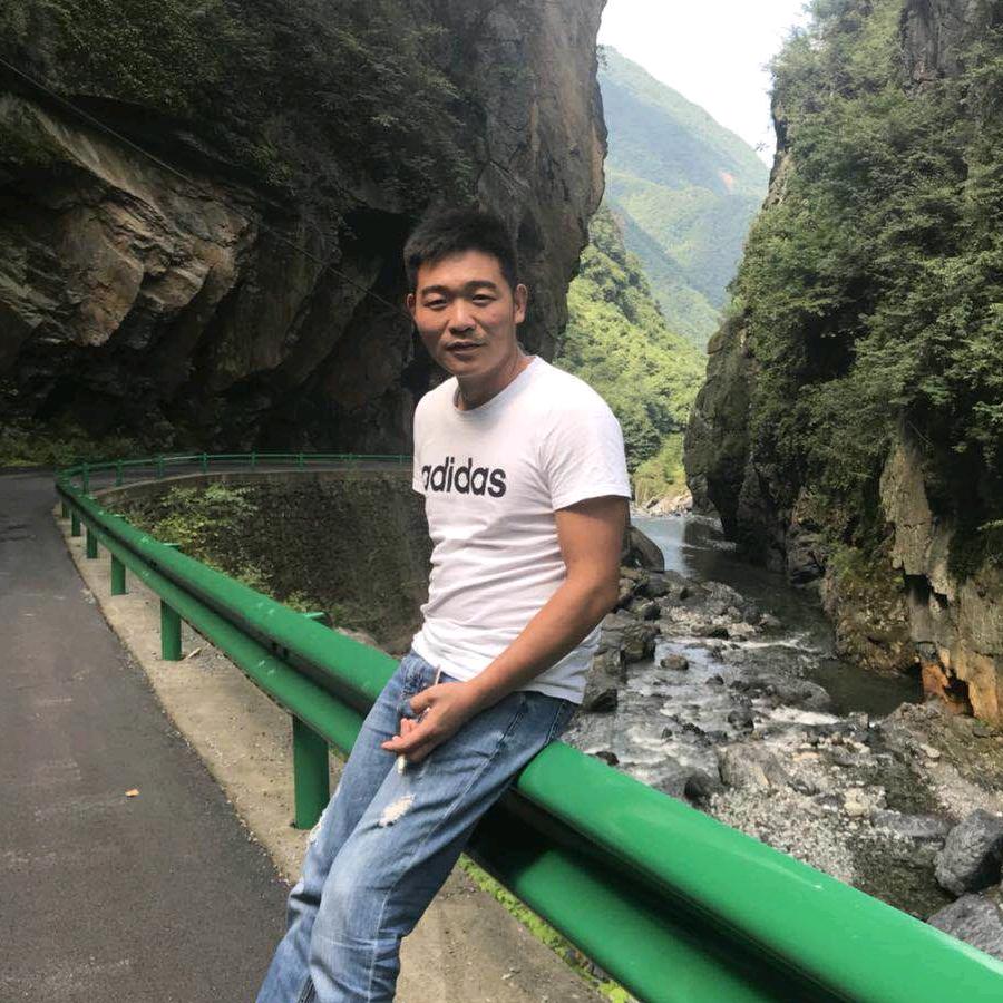 浪漫的老鹰