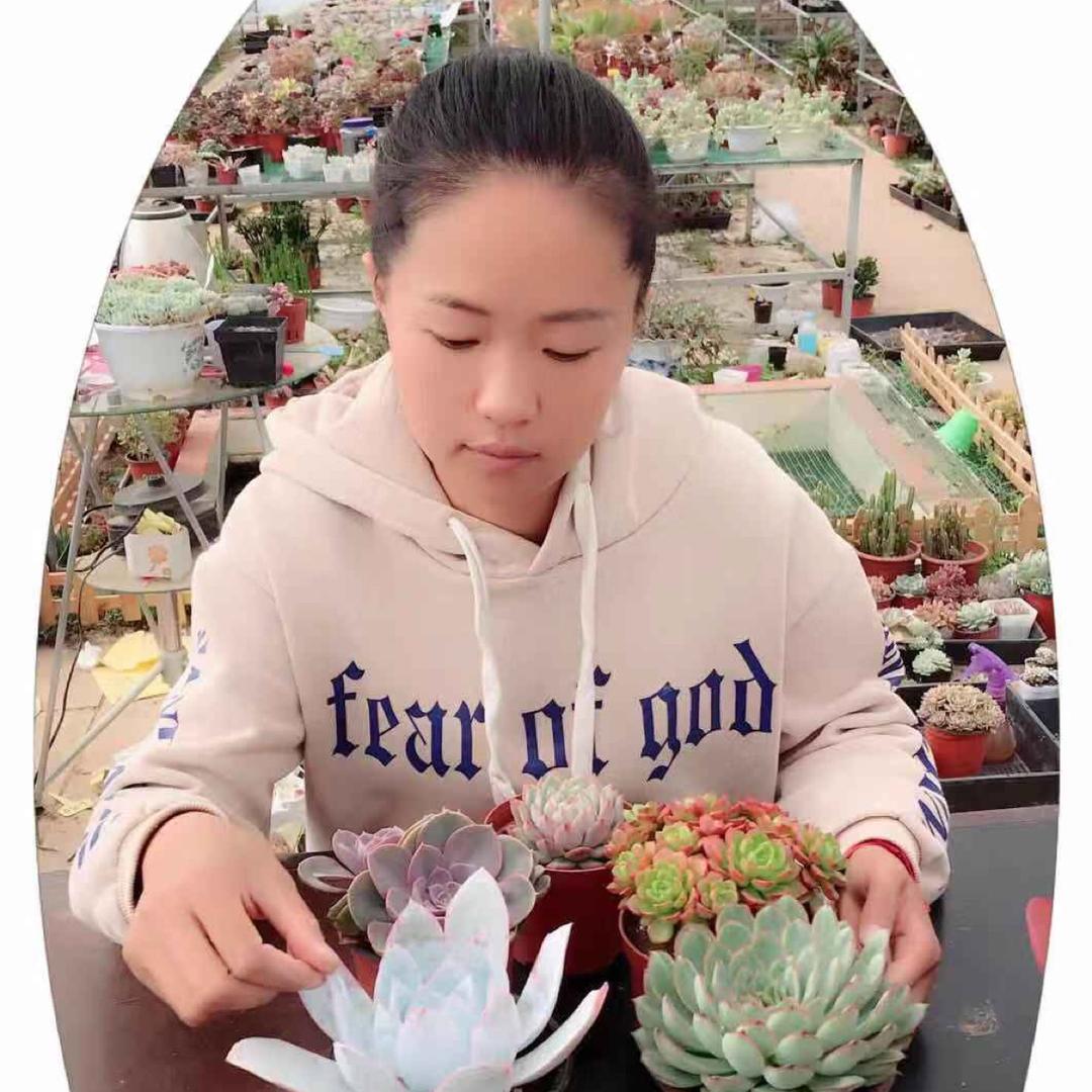 怀远羽之园艺多肉种植基地