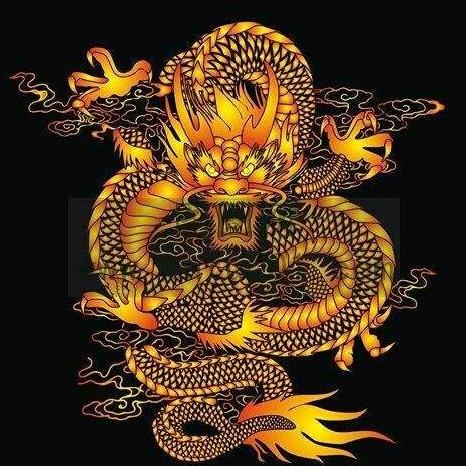 佛系邪魅龙烈