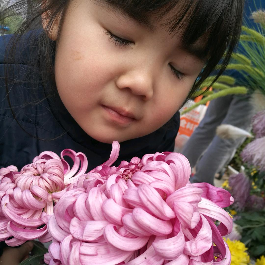 慌慌张张芳芳公主