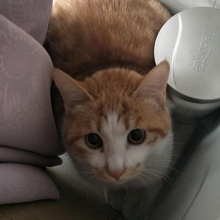 执念