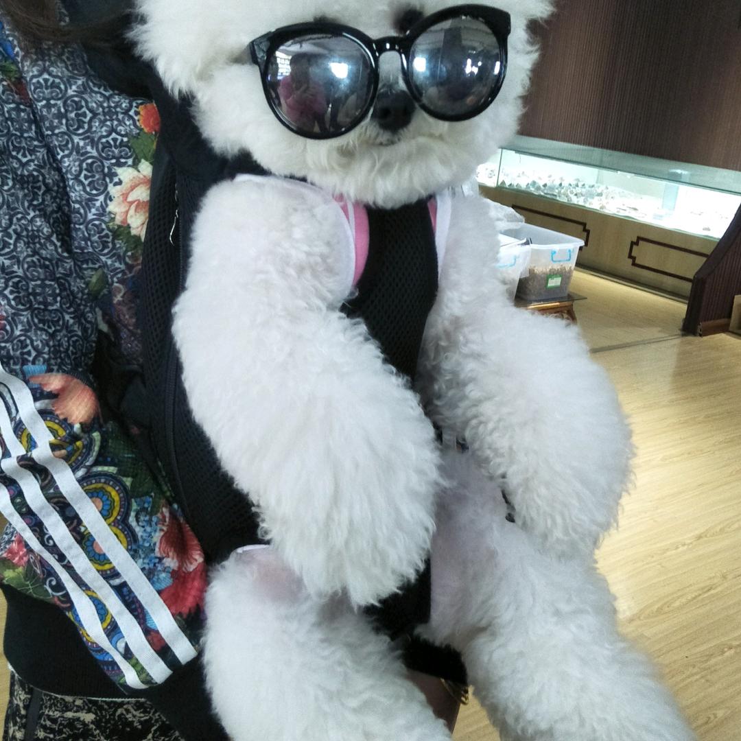 明明