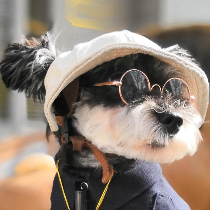 🌈許某人的嚶嚶怪 °