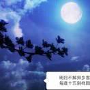 静心品物