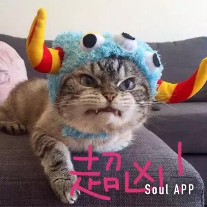 预约编号