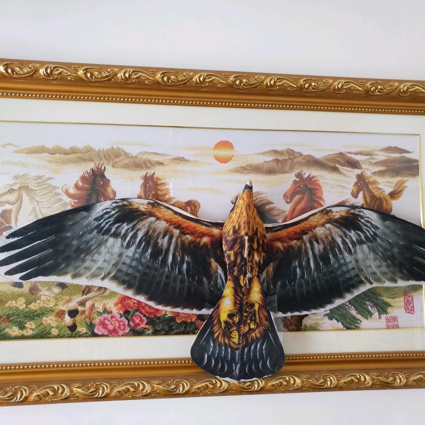 阮鹏
