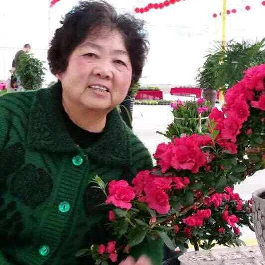 陈外婆