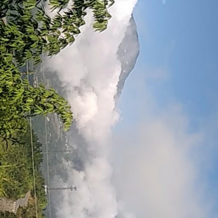 曹老八.....79羊