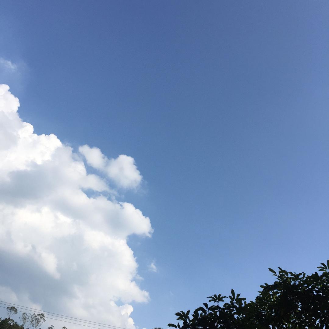 小明
