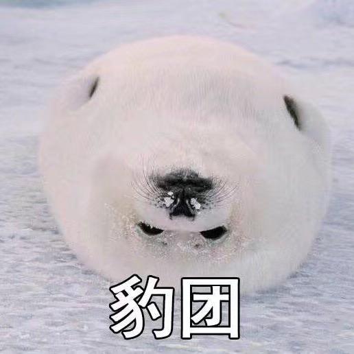 你听说过阿拉斯加的海豹吗