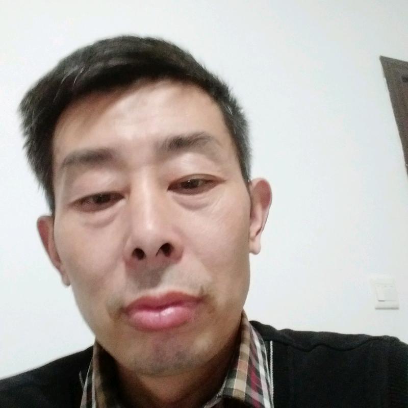 黄山毛峰加工程铭辉