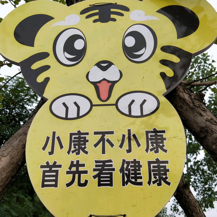 🇨🇳何其荣幸🍎