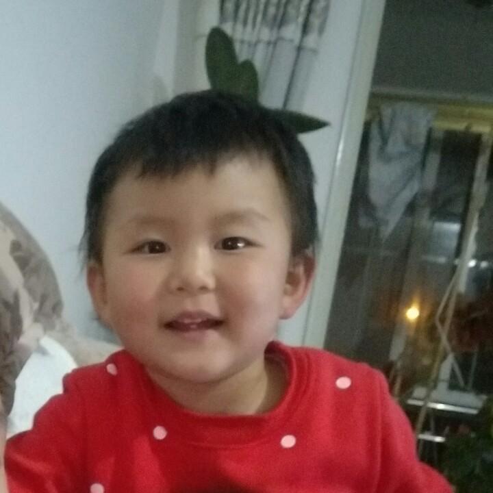 诺伊