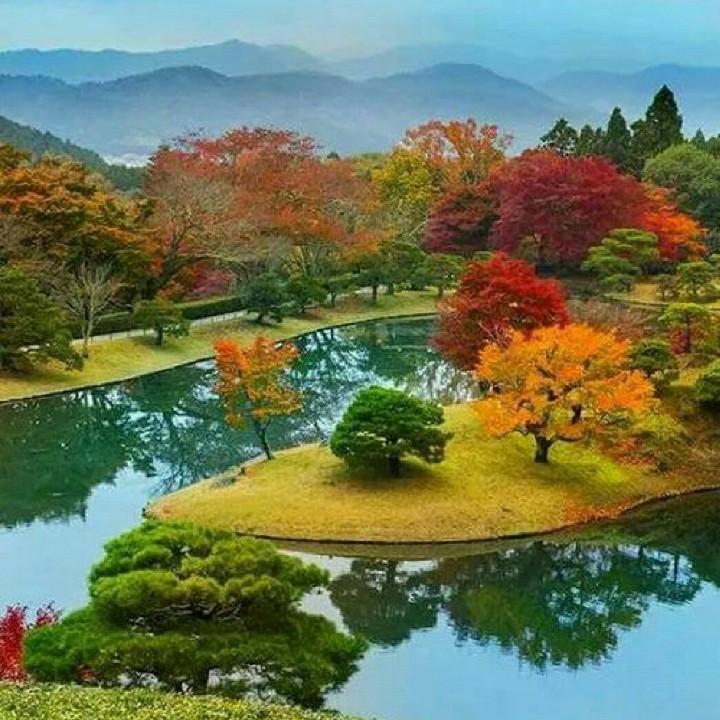 岳西，莲云，通真观，xiong，继，sh