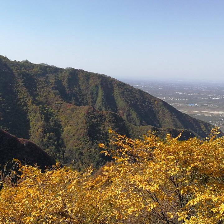 沣渭渔者