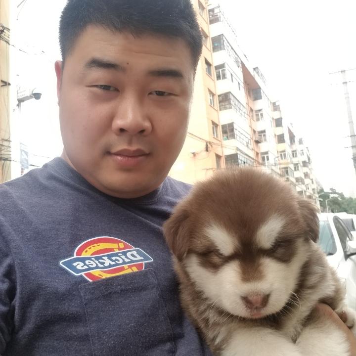 陈述的抖音