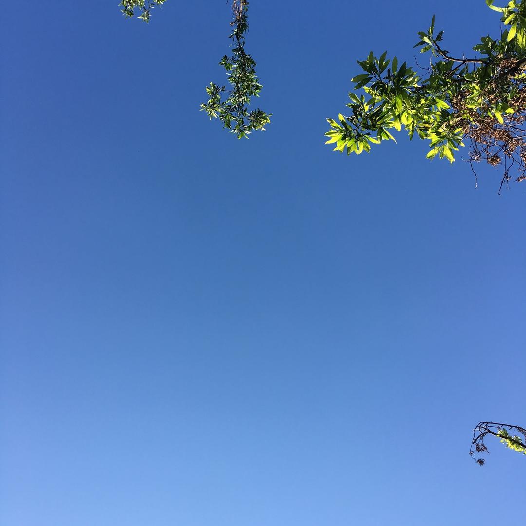 一路向北